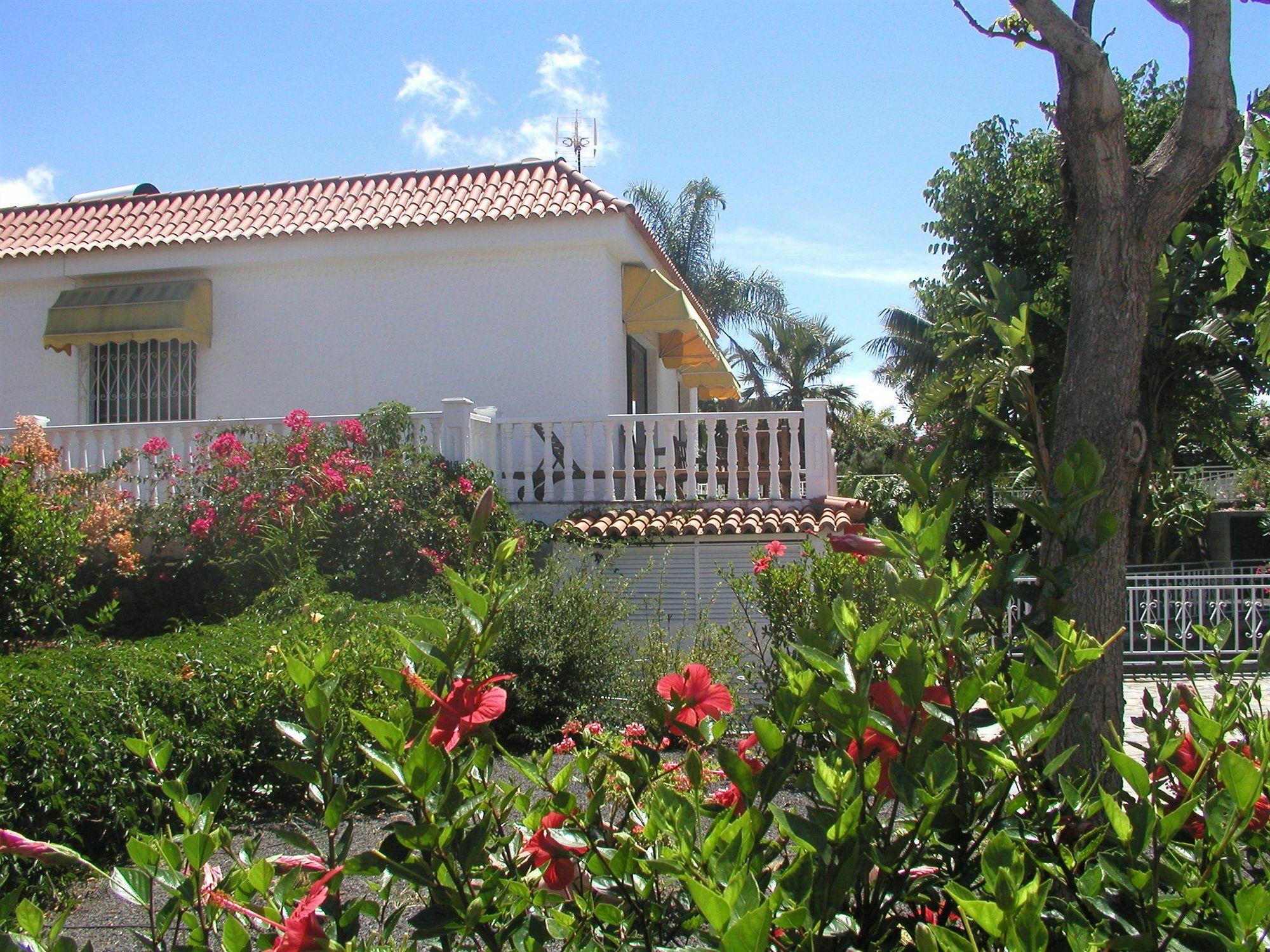 Residencial Las Norias Todoque Dış mekan fotoğraf